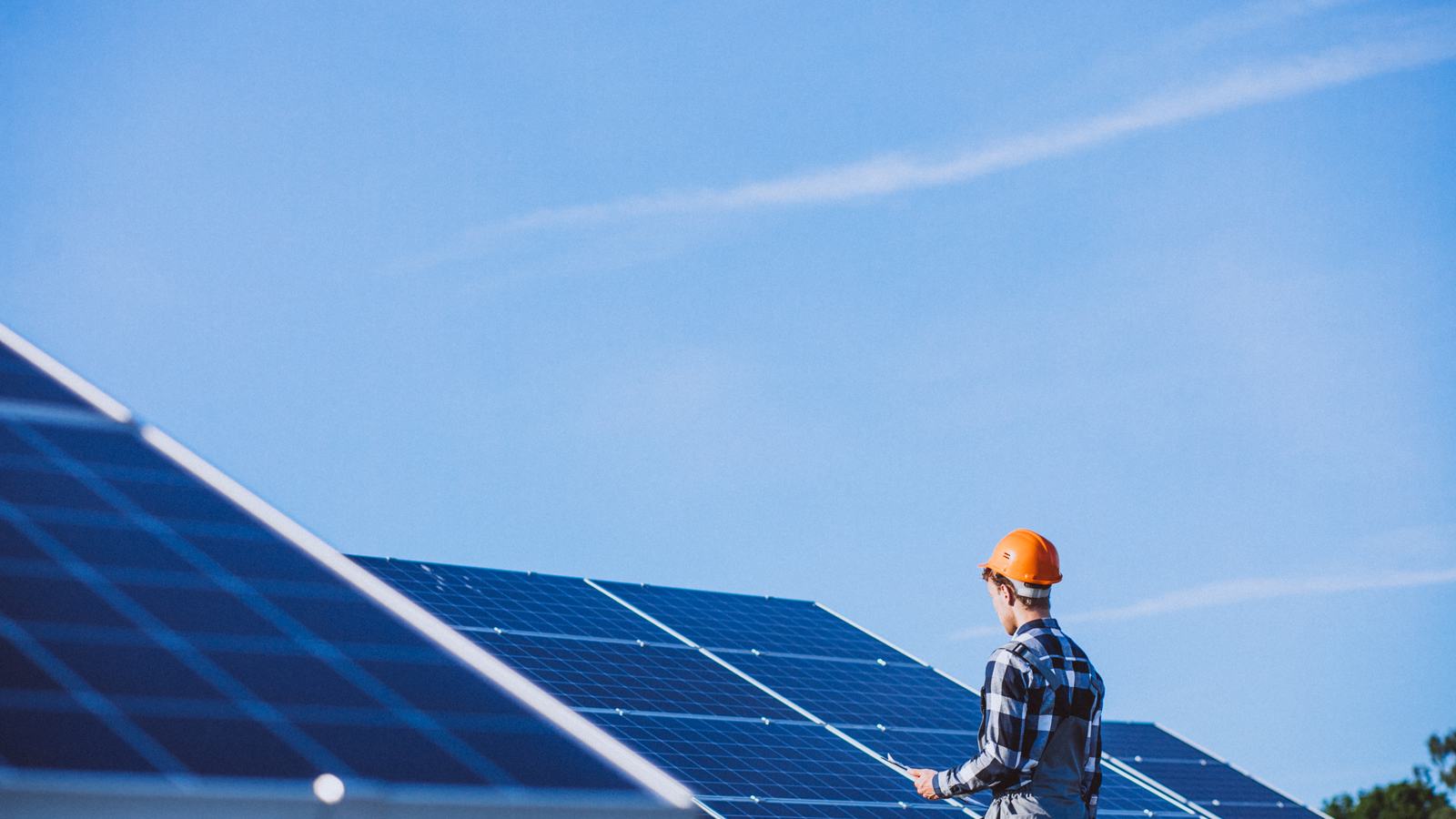 Operario revisando una línea de paneles solares